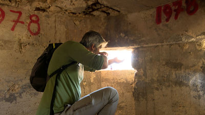 Mi cámara y yo: El rastro de la guerra