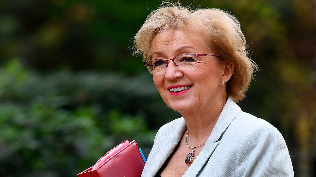 Dimite la líder conservadora en el Parlamento británico en desacuerdo con May