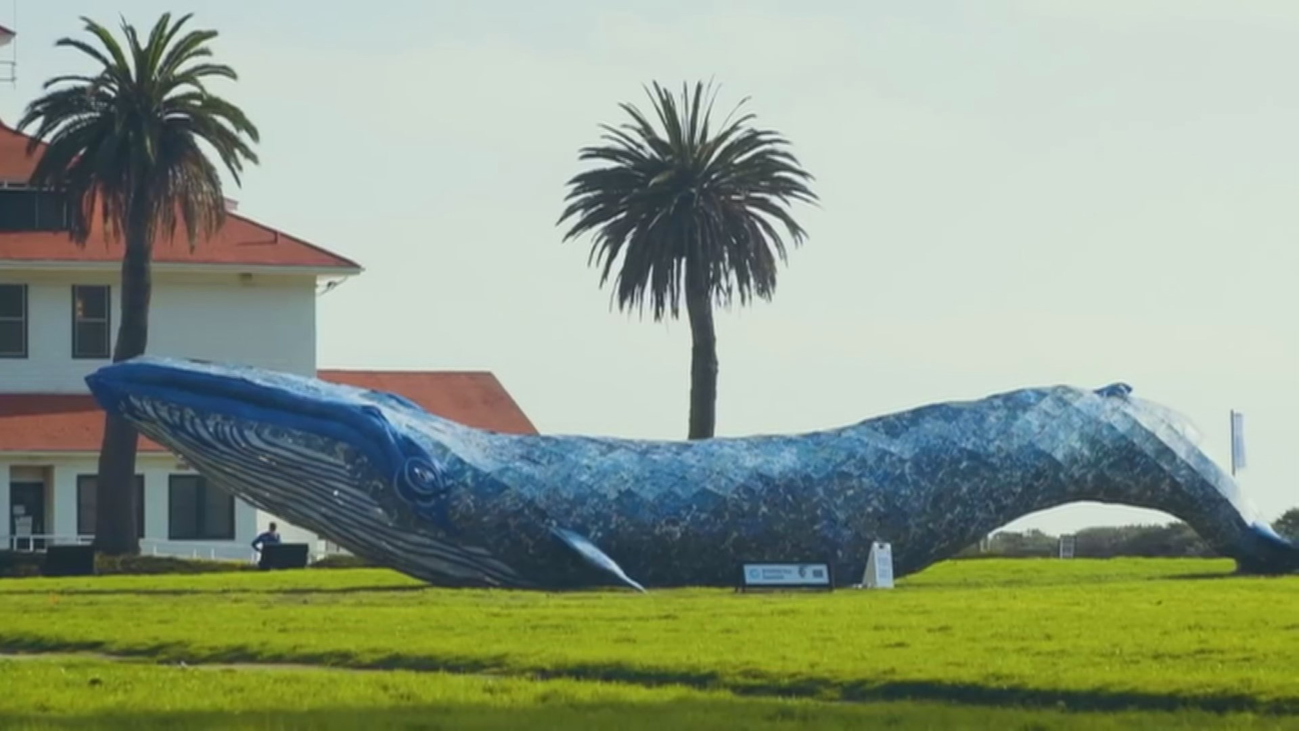 Una ballena para remover conciencias