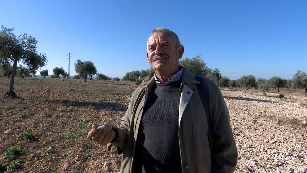 El guardián de la memoria