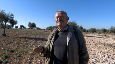 El guardián de la memoria