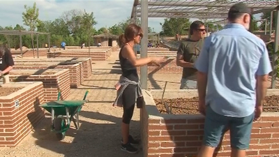 Boadilla del Monte abre a los vecinos 44 huertos urbanos ecológicos gratuitos