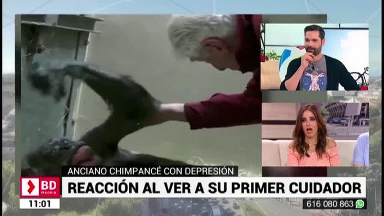 Buenos Días Madrid 24.05.2019