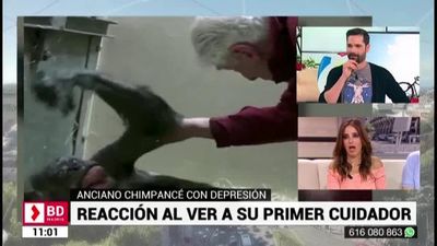 Buenos Días Madrid 24.05.2019