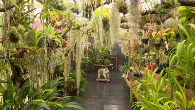 Mi cámara y yo: De flor en flor