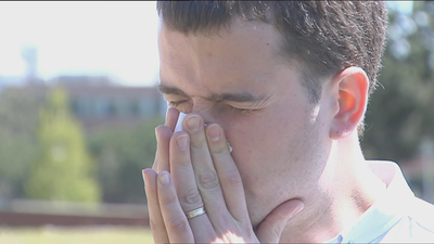 Altos niveles de gramíneas en Madrid: un problema para los alérgicos