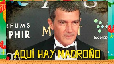 Te desvelamos la inmensa fortuna que amasa Antonio Banderas