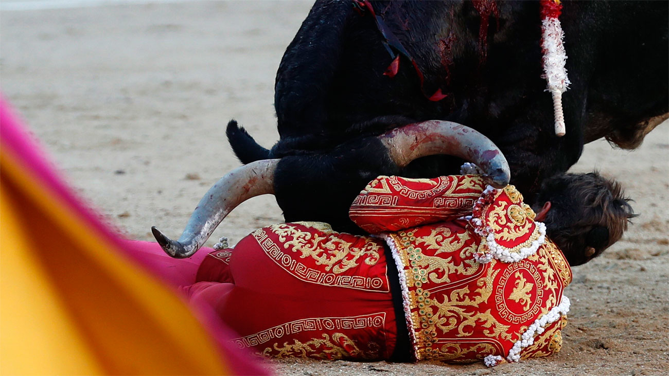 El torero Manuel Escribano, herido en Las Ventas