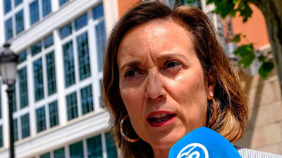 El PP exige al PSOE que "no se eche a los brazos de Bildu" en Navarra