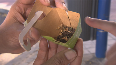 Leganés lucha contra las plagas de pulgones y cochinilla