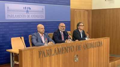 Vox anuncia una enmienda a la totalidad a los Presupuestos andaluces