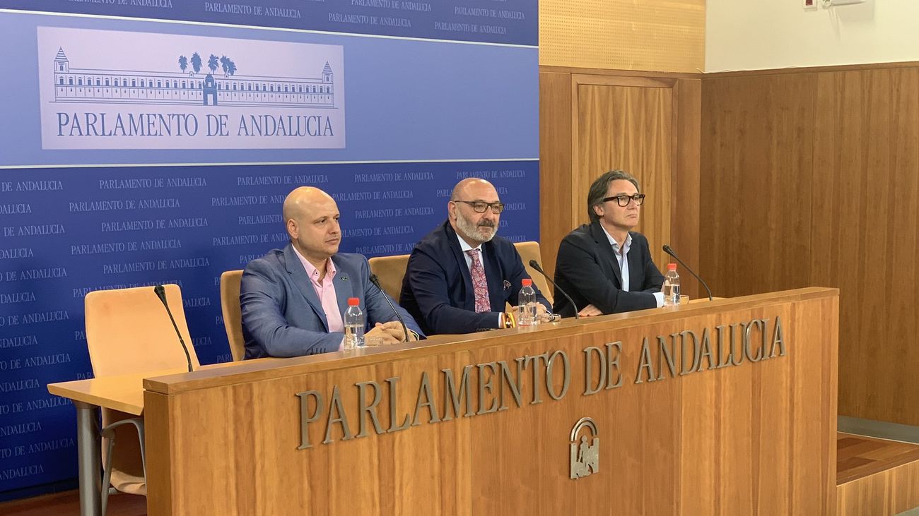 El portavoz parlamentario de Vox, Alejandro Hernández, en el centro, durante la rueda de prensa para hablar sobre los presupuestos andaluces