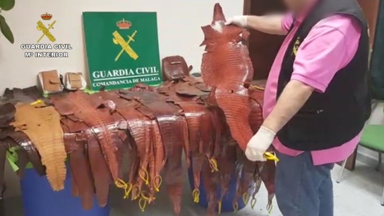 Operación de la Guardia Civil contra el tráfico ilegal de animales