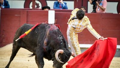 Detalles de Antonio Grande y oda a la vulgaridad en la 21ª de San Isidro