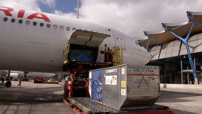 Aviones con 250 pasajeros y 80.000 rosas