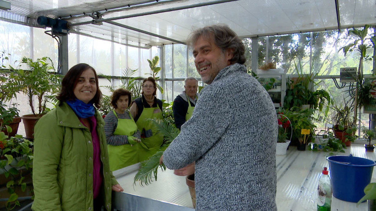 El hospital de plantas de Pozuelo de Alarcón
