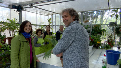 El hospital de plantas de Pozuelo de Alarcón