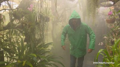 Madrid también tiene su selva tropical