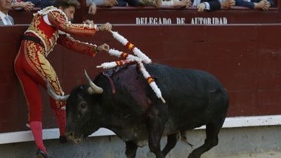 El torero Manuel Escribano recibe el alta hospitalaria