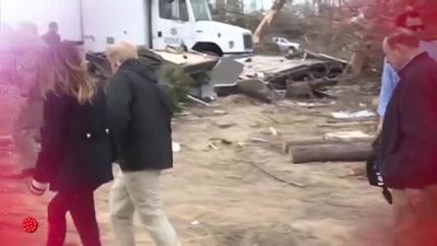 Aquí hay madroño 06.06.2019