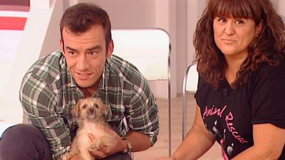 Está Pasando 07.06.2019