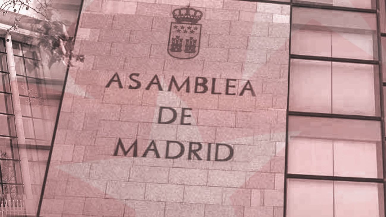La  Asamblea acepta crear  una comisión de investigación sobre las residencias