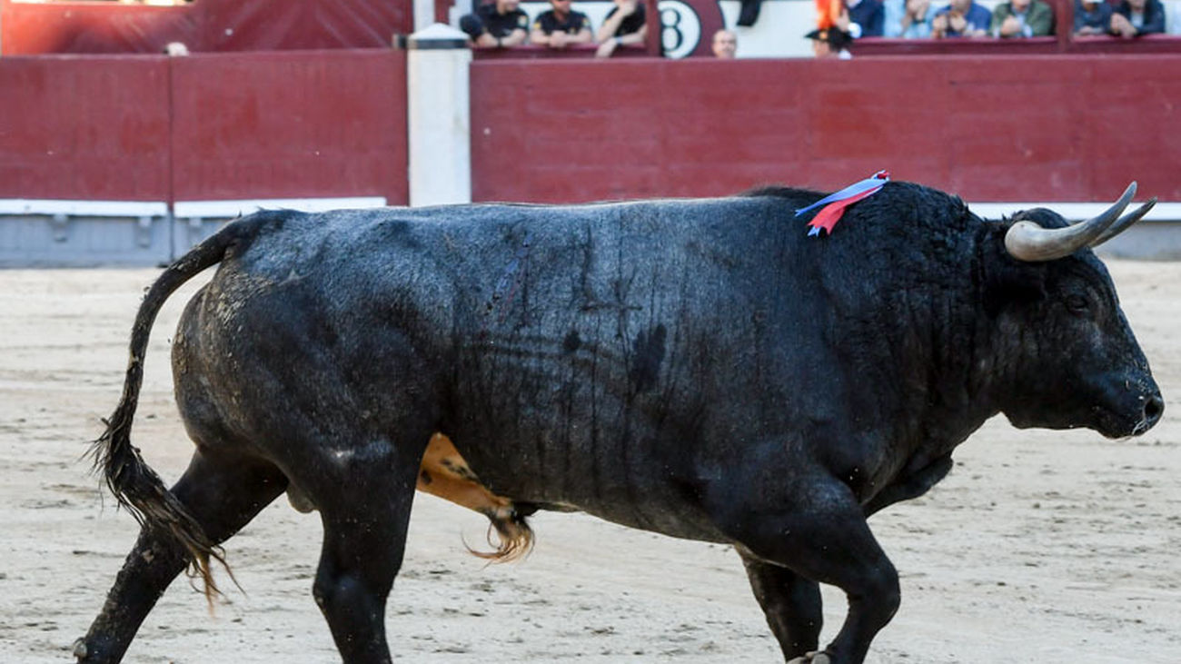 Carasucia pone la guinda al triunfo de los grises en San Isidro