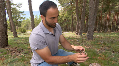 Veneno cien por cien madrileño