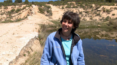 Sapos venenosos, más cerca de lo que nos pensamos