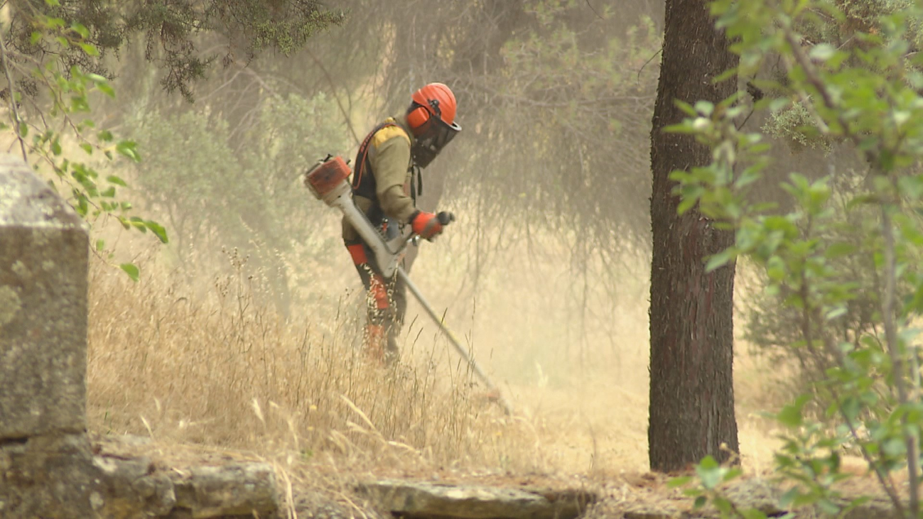 Los ayuntamientos de la región, en plena campaña de desbroce para evitar incendios