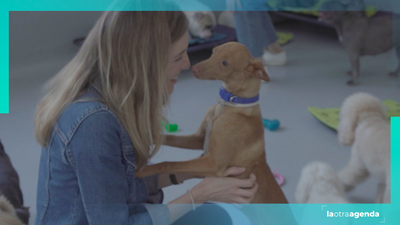 ¿Planes con mascotas? Te contamos el Madrid "Pet Friendly"