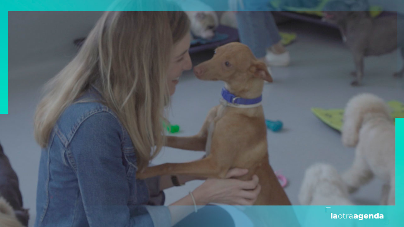 ¿Planes con mascotas? Te contamos el Madrid "Pet Friendly"