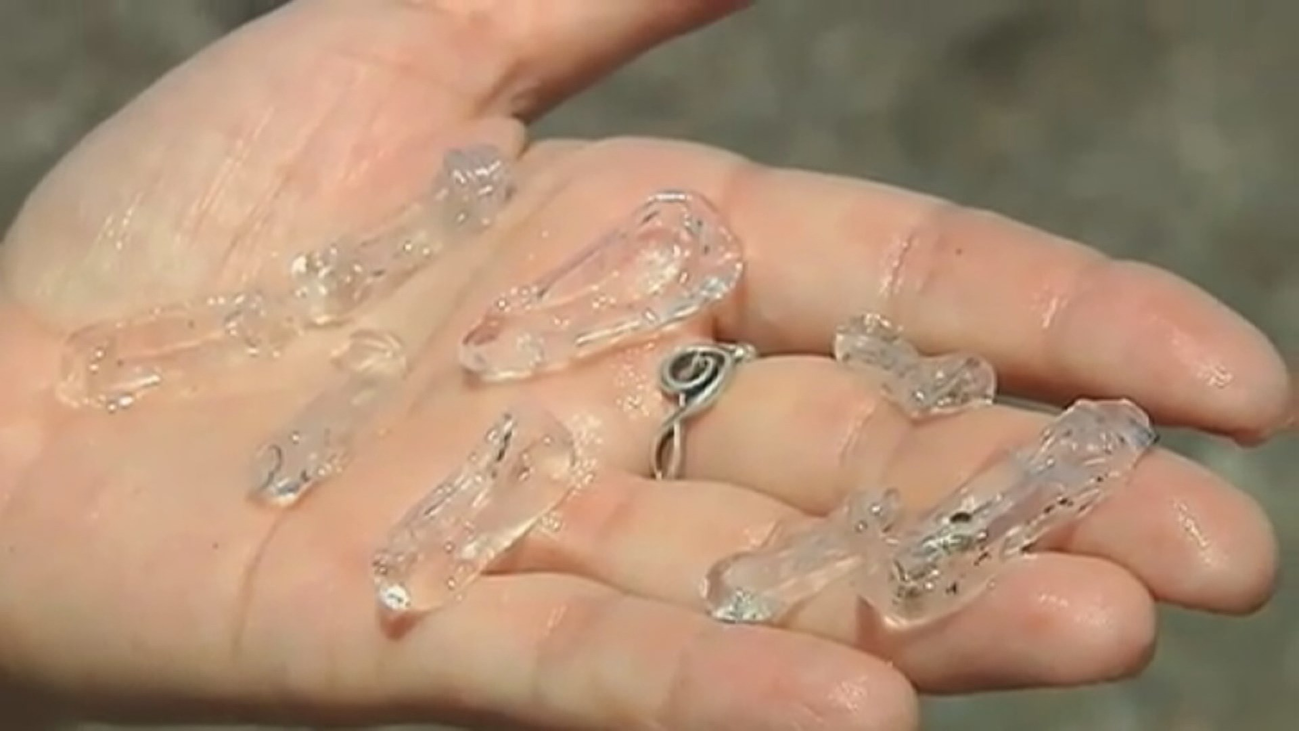 Una visita muy peculiar en las playas españolas