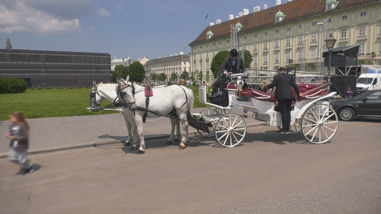 Recorremos las calles de Viena en carruaje