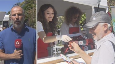 Kilos y kilos de picotas gratis en Madrid para 'estrenar' el verano