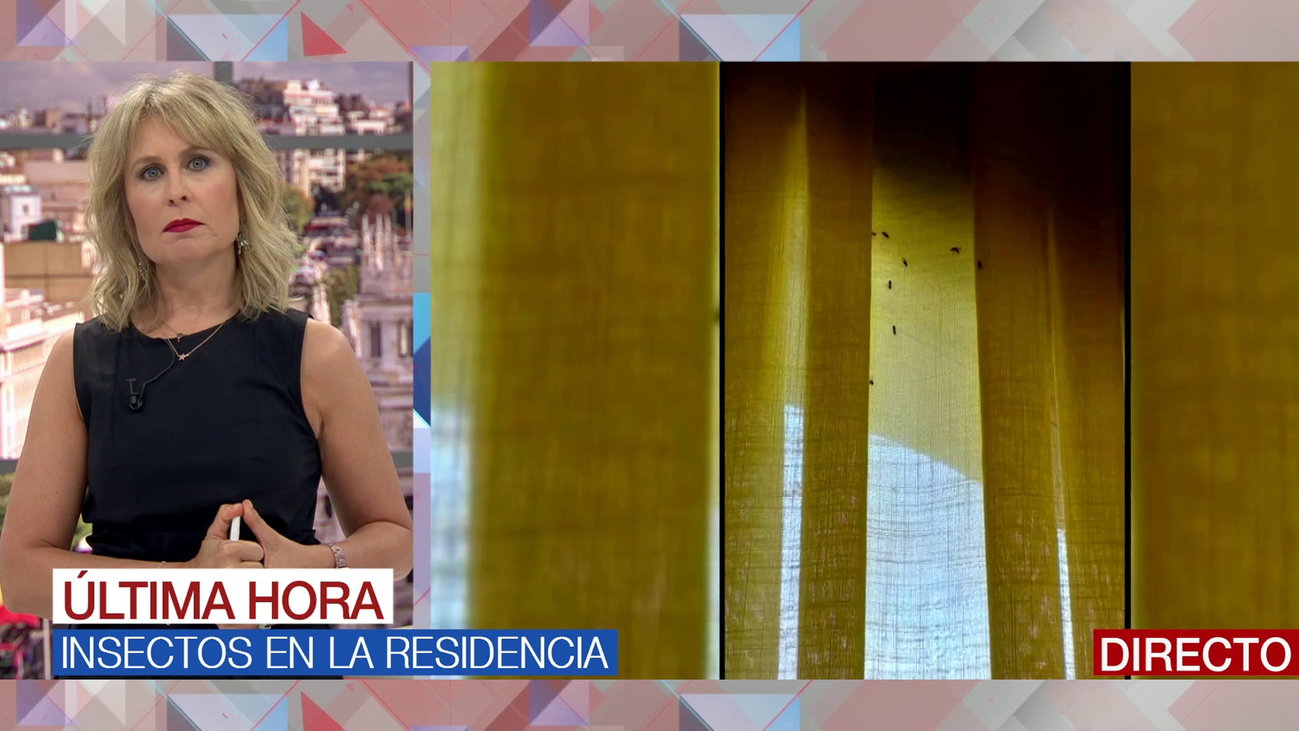 Denuncian una plaga de insectos en una residencia de Alcorcón