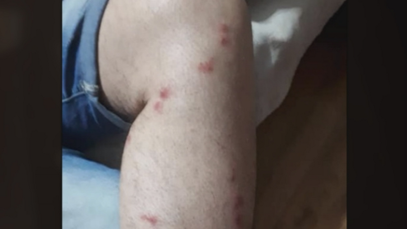 Preocupación por la plaga de mosquitos en Velilla de San Antonio