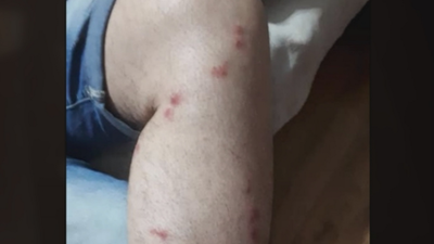 Preocupación por la plaga de mosquitos en Velilla de San Antonio