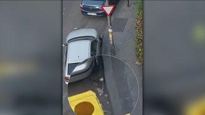 Las ratas invaden Valdezarza