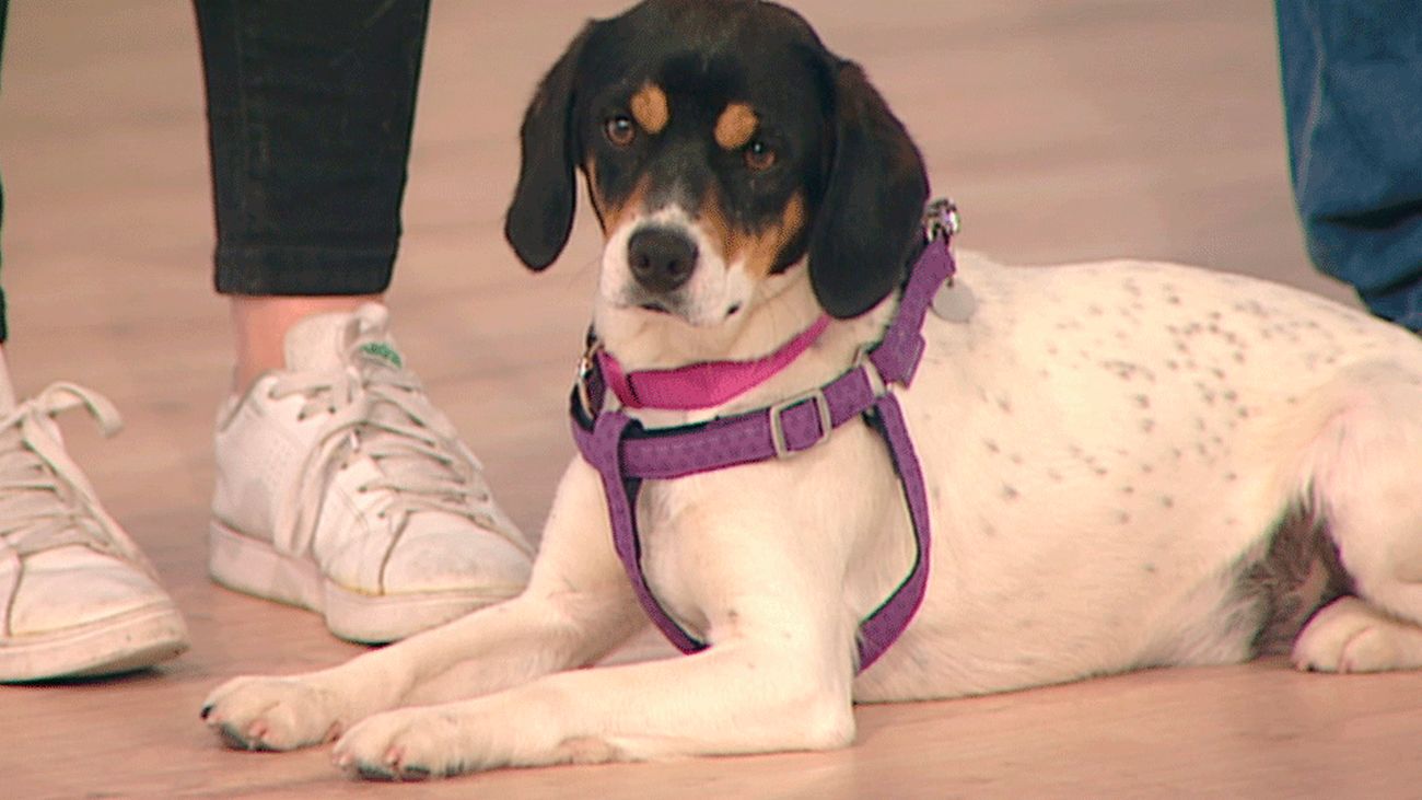 Está Pasando 21.06.2019