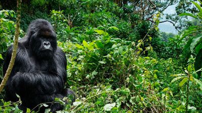 Está Pasando 24.06.2019