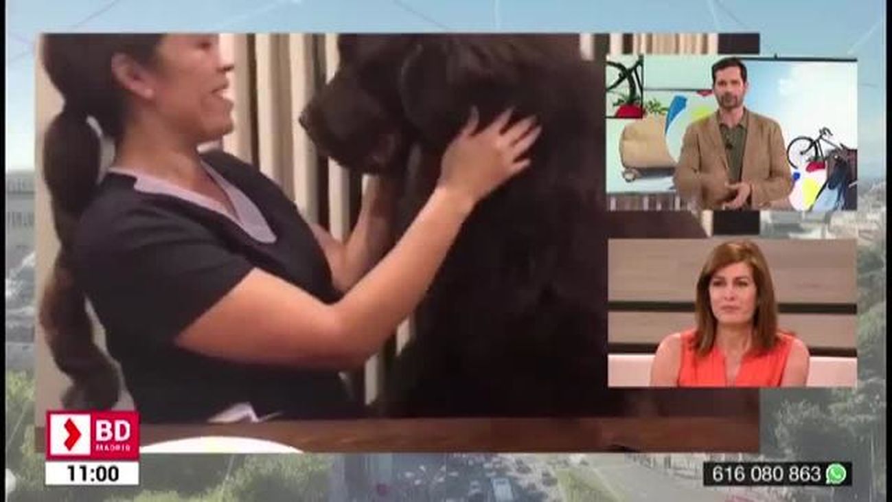 Buenos Días Madrid (10:30-11:30)  25.06.2019