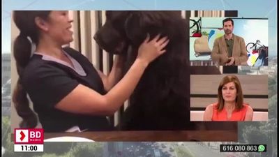 Buenos Días Madrid (10:30-11:30)  25.06.2019