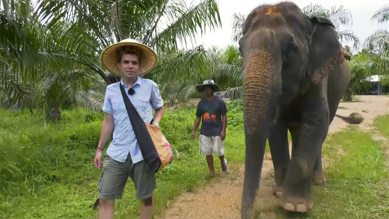 El Santuario de elefantes de Krabi