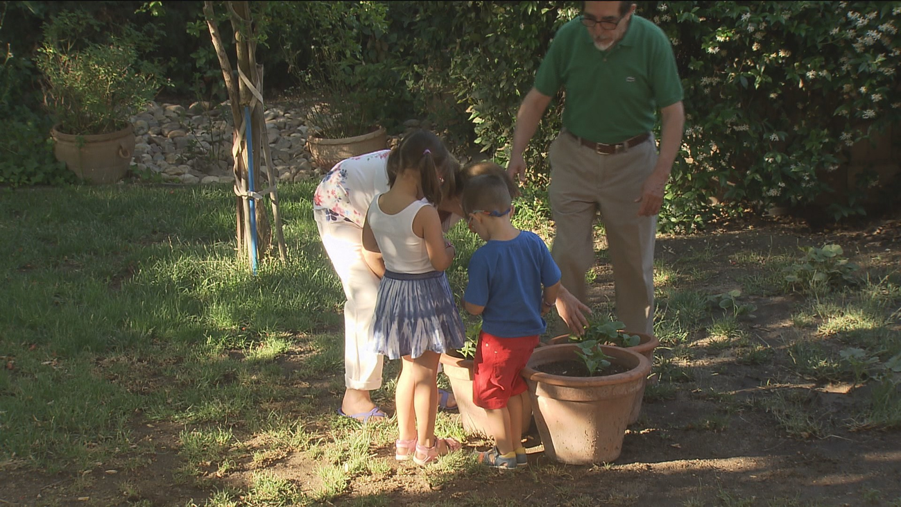 Abuelos al cuidado de sus nietos: "Mucho trabajo, pero compensa"
