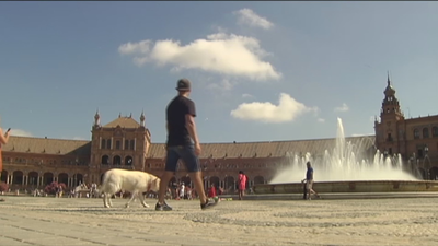 Polémica en Sevilla por un anuncio de lencería rodado sin autorización