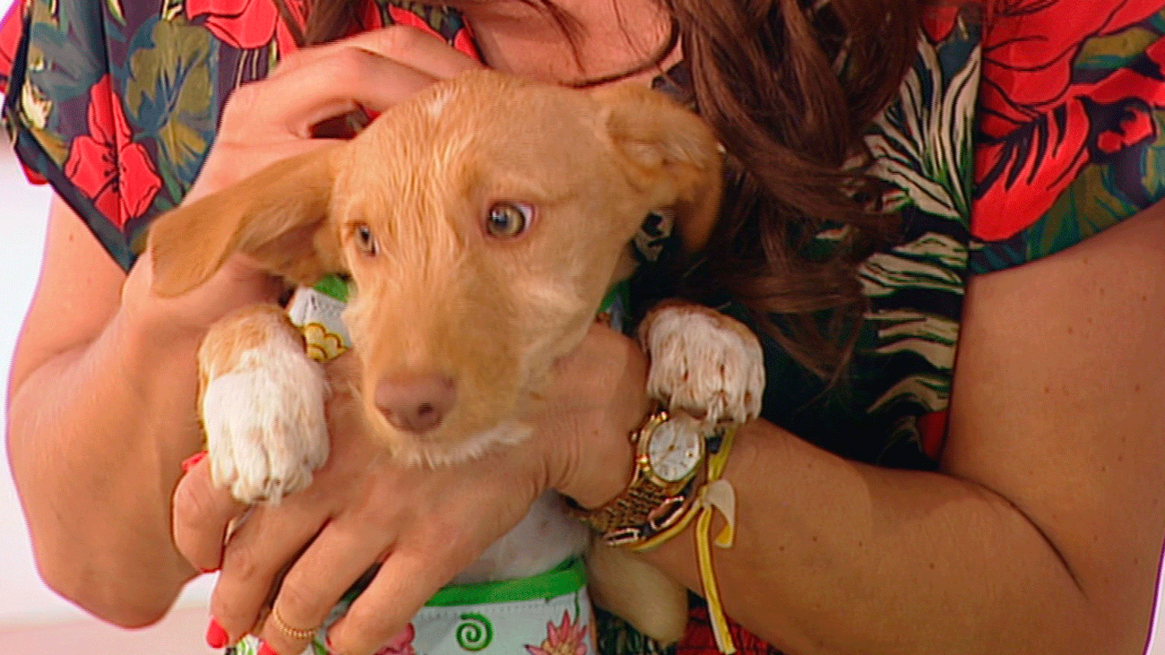 Un hogar para Hope y Salma