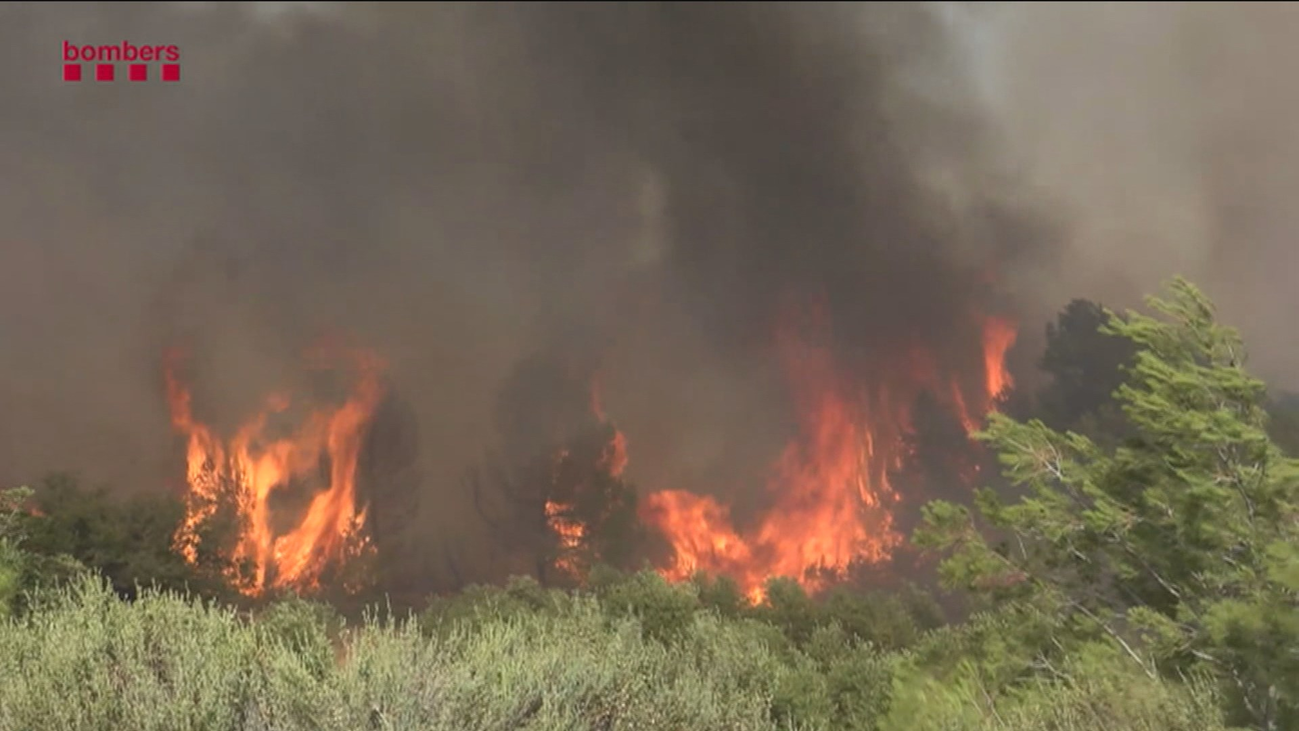 Una jueza investiga  las causas del fuego de Tarragona, que continua activo