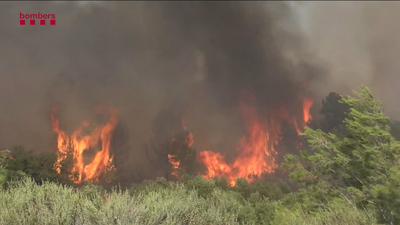 Una jueza investiga  las causas del fuego de Tarragona, que continua activo