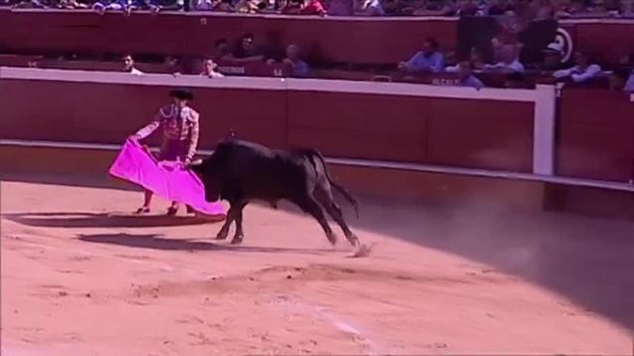 Toros en Telemadrid: Feria de San Juan desde Soria (1ª Parte)